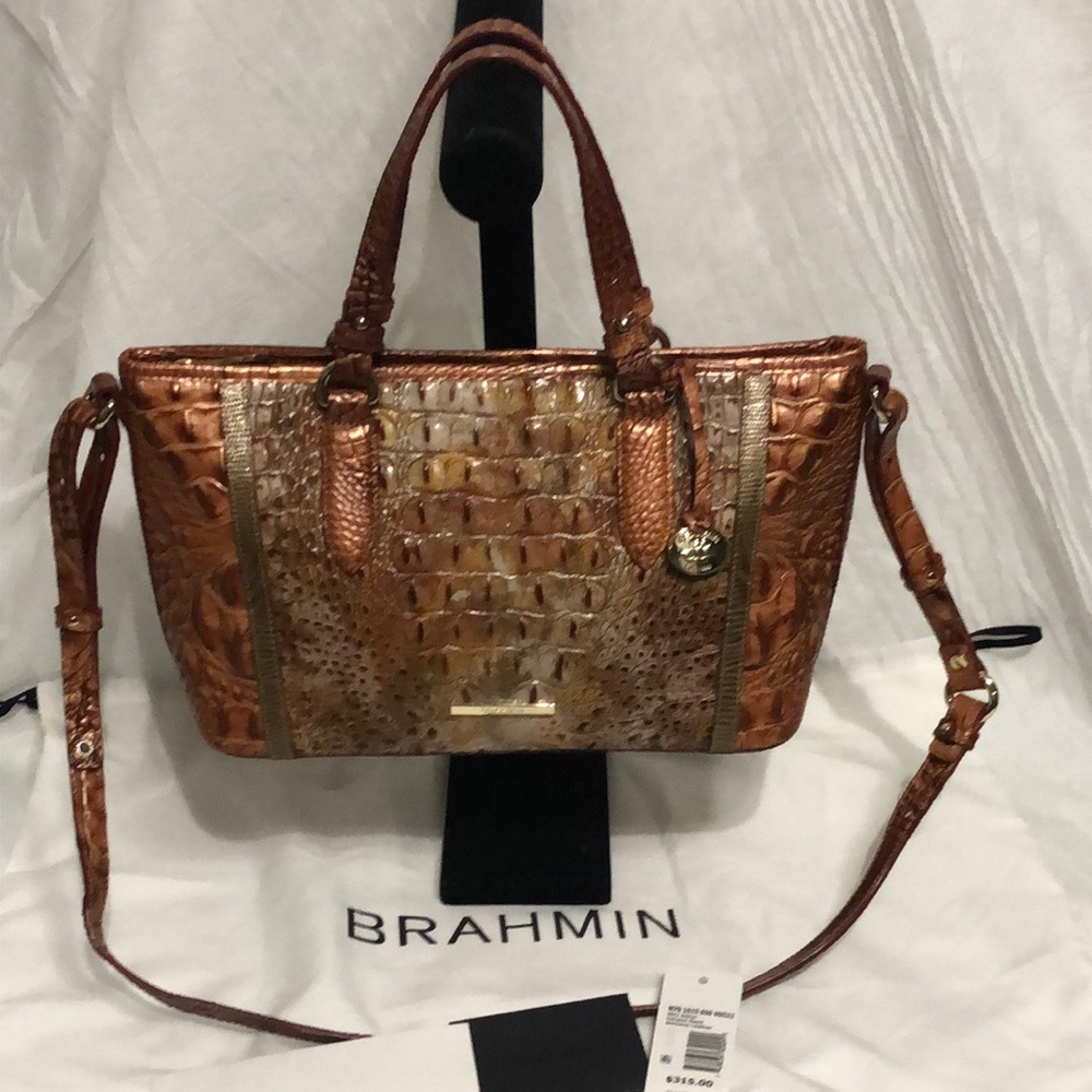 Brahmin Asher Canyon Reed Bag NWT